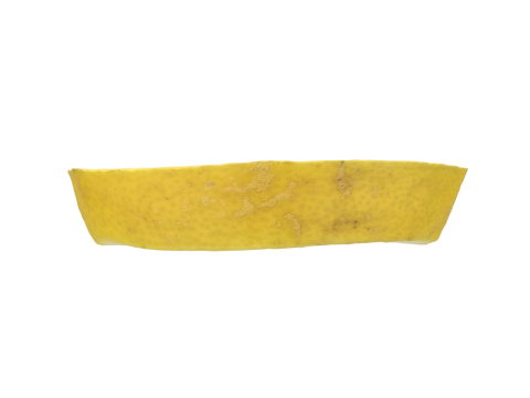 Lemon Slice 3D 模型