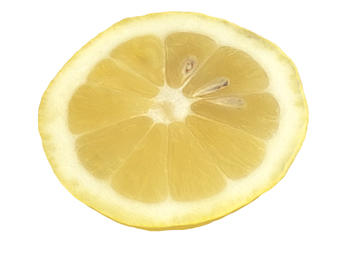 Lemon Slice 3D 模型