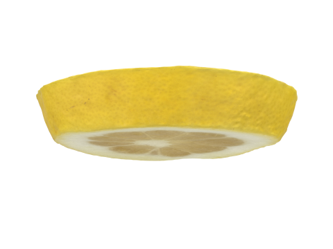Lemon Slice 3D 模型