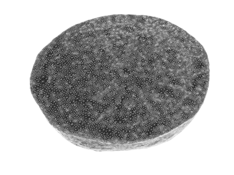 Lemon Slice 3D 模型
