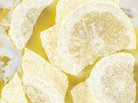 Lemon Slice 3D 模型