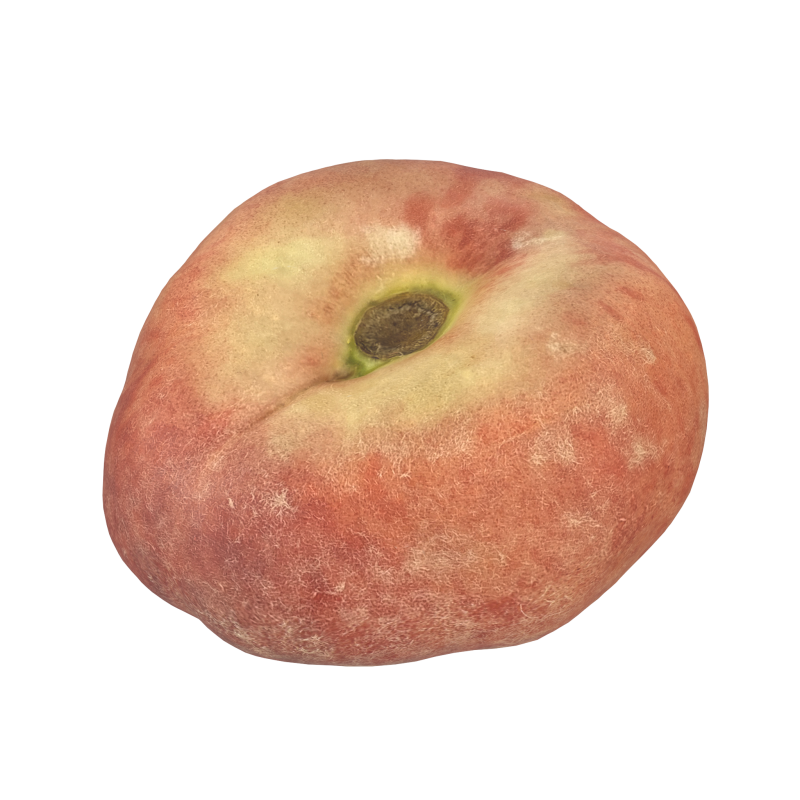Donut Peach 3D 模型 .c4d .max .obj .3ds .fbx .stl .blend 