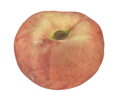 Donut Peach 3D Model