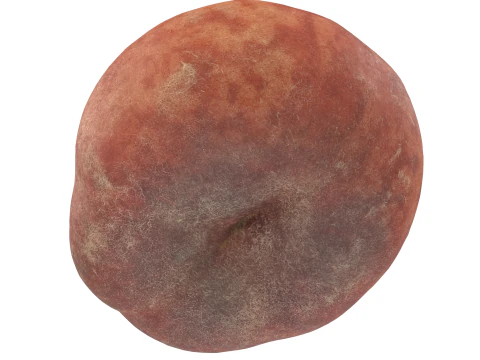 Donut Peach 3D Model