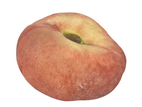 Donut Peach 3D 模型