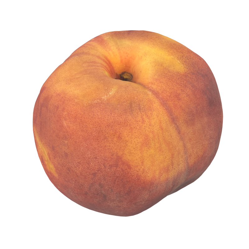 Peach 3D Model .c4d .max .obj .3ds .fbx .stl .blend 