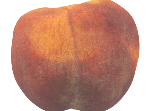Peach 3D Model