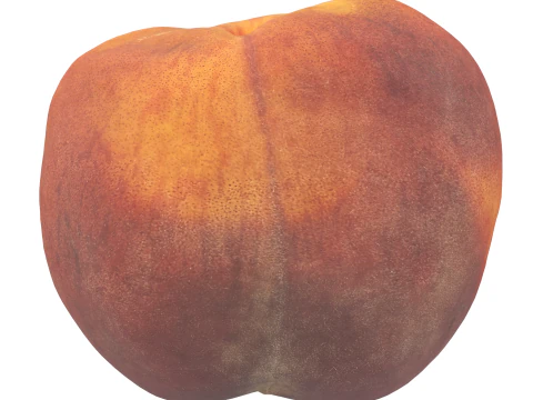 Персик 3D Модель