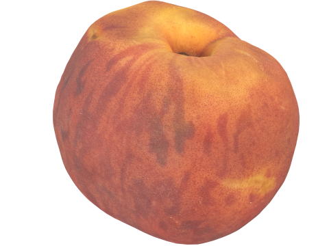 Peach 3D Model