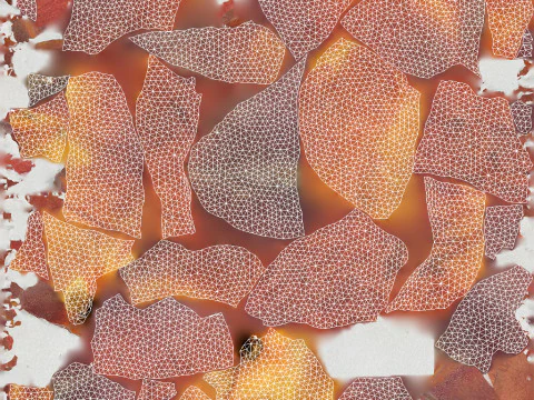 Персик 3D Модель