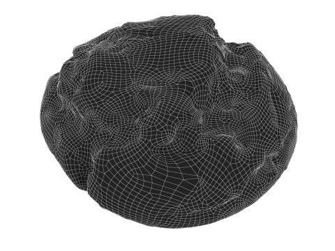 Cookie 17 Modello 3D