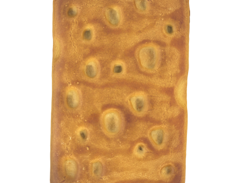 Cookie 3D 模型