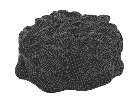 달콤한 씨앗 사탕 3D 모델