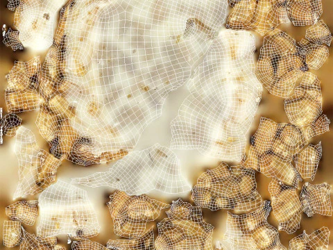 달콤한 씨앗 사탕 3D 모델