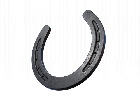 Horseshoe 3D Model
