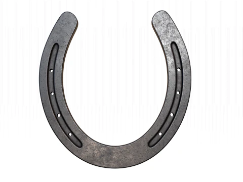 Horseshoe 3D Model