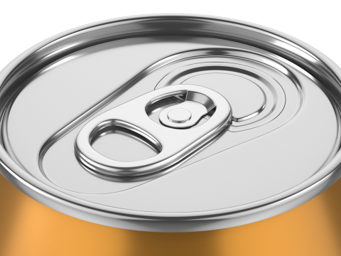 Aluminum Can 2 Model 3D