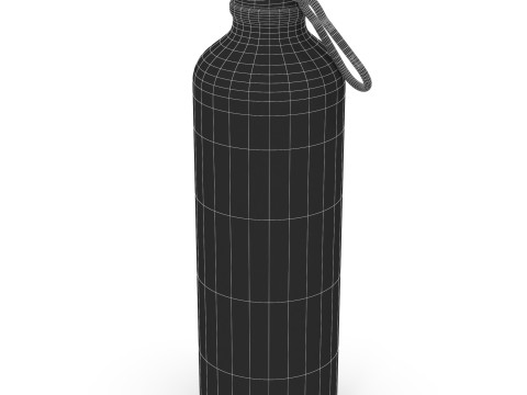 Aluminum Bottle 3D Model