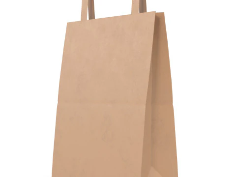 Paper Bag 3D Model