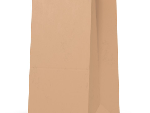 Busta di carta 2 Modello 3D