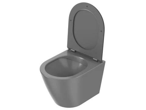 Wall Hung Toilet 3D Model