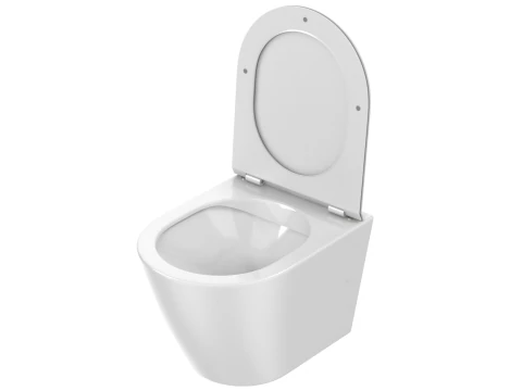 Wall Hung Toilet 3D Model