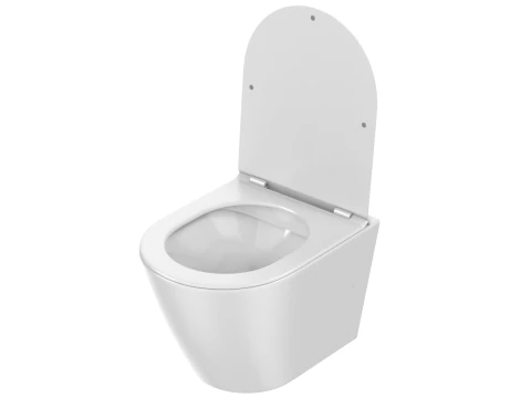 Wall Hung Toilet 3D Model