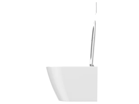 Wall Hung Toilet 3D Model