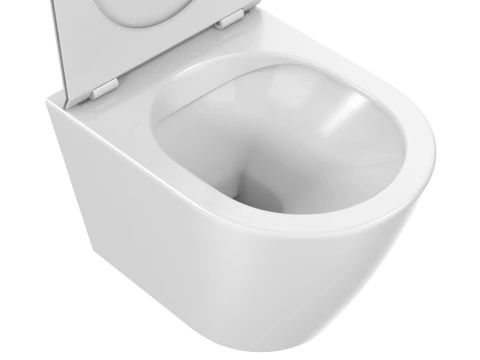 Wall Hung Toilet 3D Model