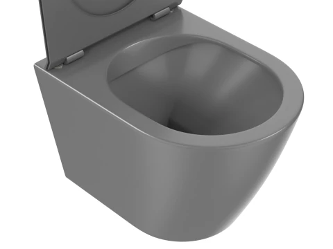 Wall Hung Toilet 3D Model