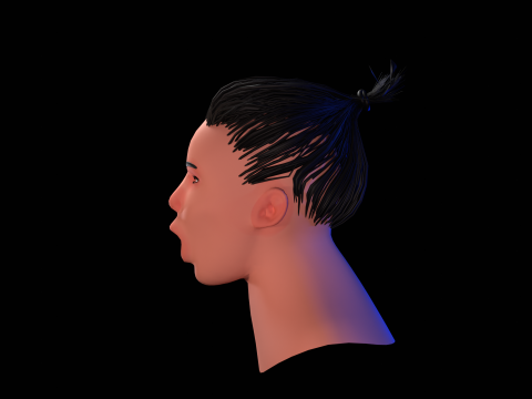 3d low poly head 3D 模型