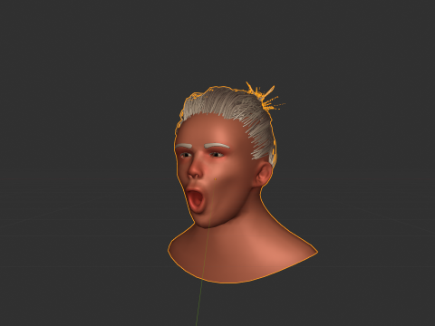 3d low poly head 3D 模型