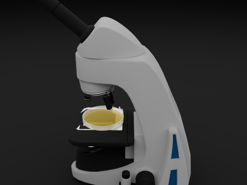 Microscope 3D Model