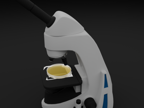 Microscope 3D Model