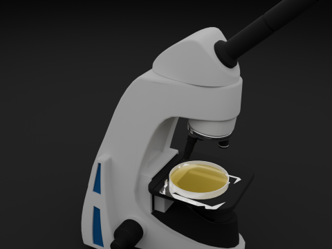 Microscope 3D Model
