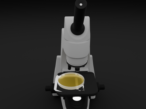 Microscope 3D Model