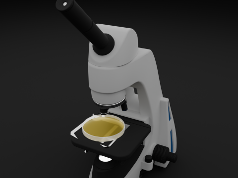 Microscope 3D Model