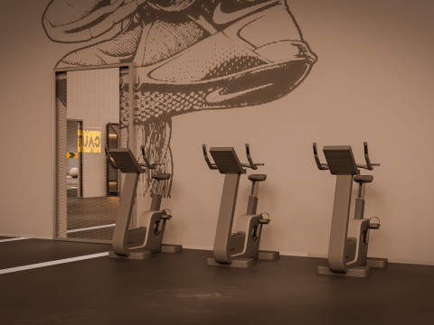 Cross fit training gym 3D Model