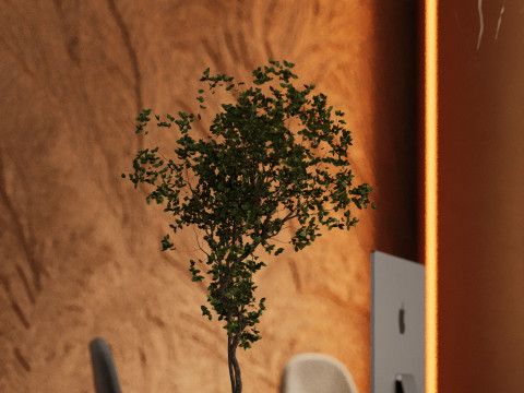 Reception hall Modello 3D