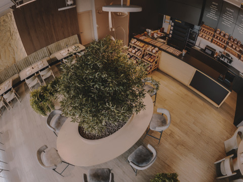 Restaurant interior Modelo 3D