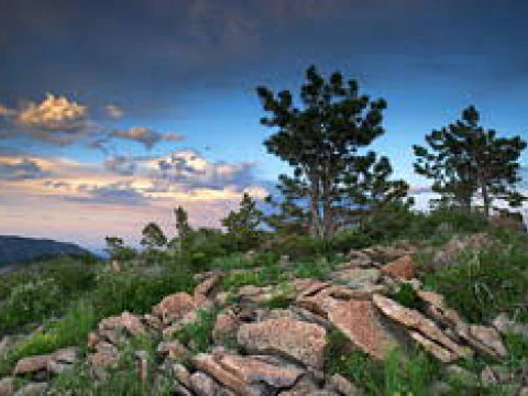 Taman Nasional di AS Model 3D