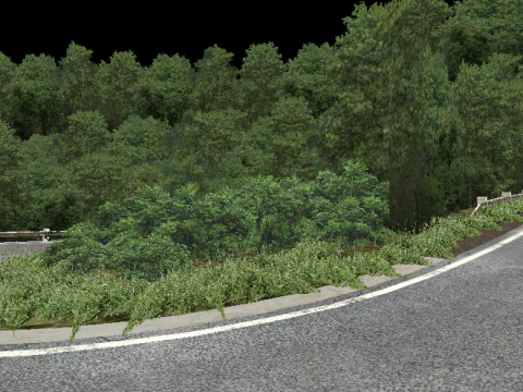 Akagi Mountain Japan Track 3D Model