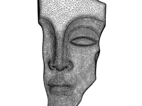 Face Sculpture 3D Модель