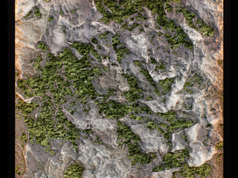Stone Wall Panel with Moss 3D Model