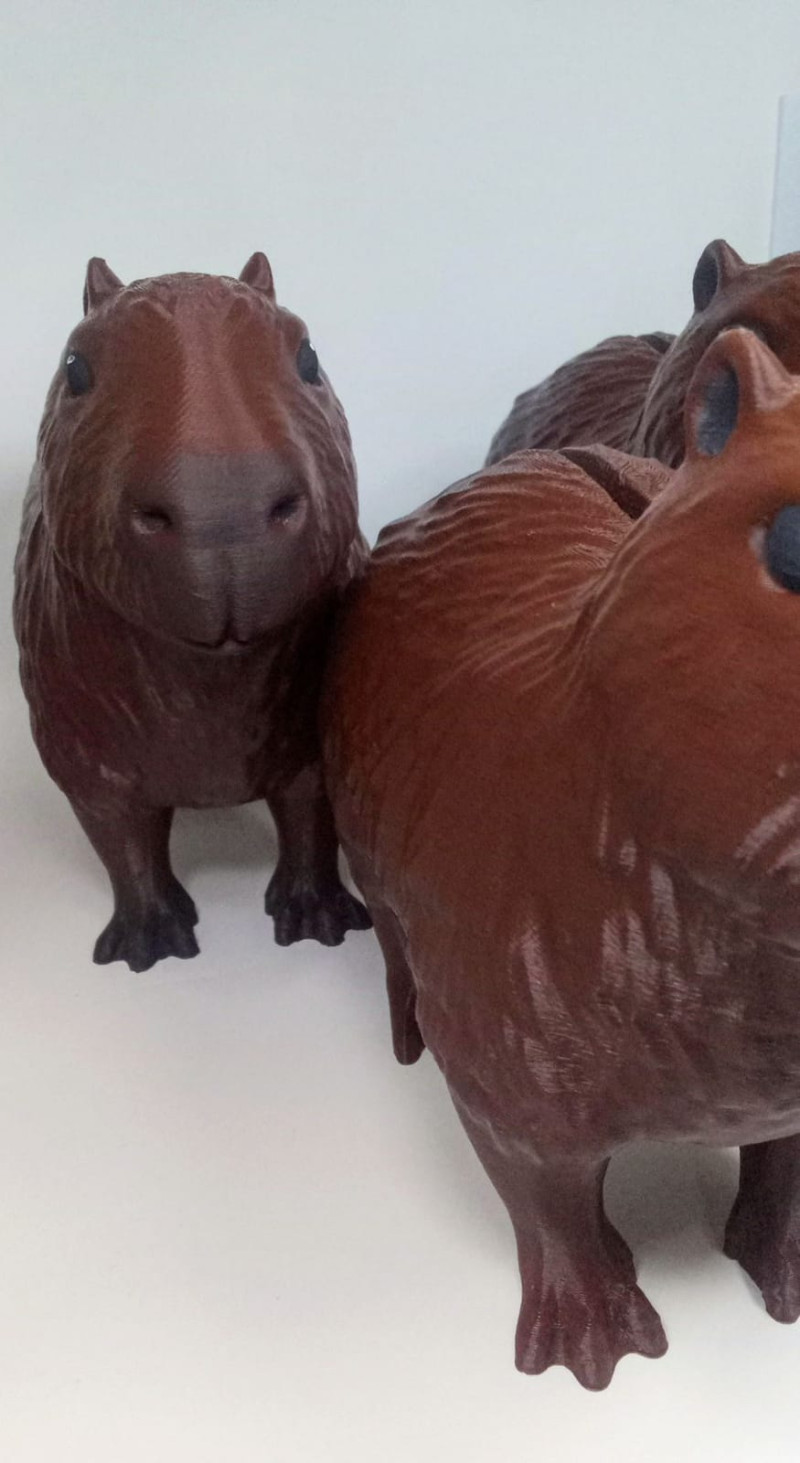 CAPIBARA CARPINCHO ALCANCA 3D Принт Модель .c4d .max .obj .3ds .fbx .stl .blend 