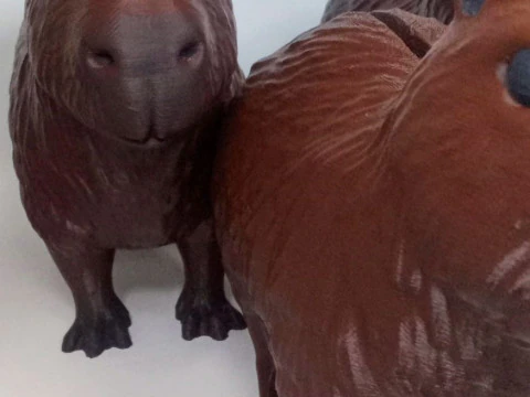 CAPIBARA CARPINCHO ALCANCA Modèles 3D en vedette