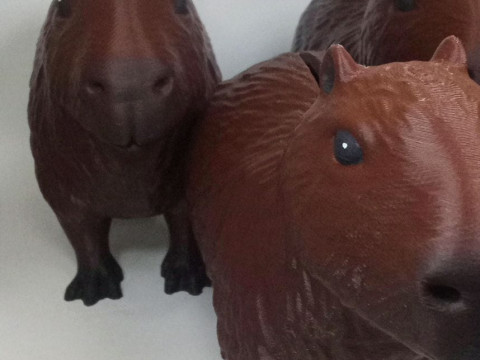 CAPIBARA CARPINCHO ALCANCA 3D Принт Модель