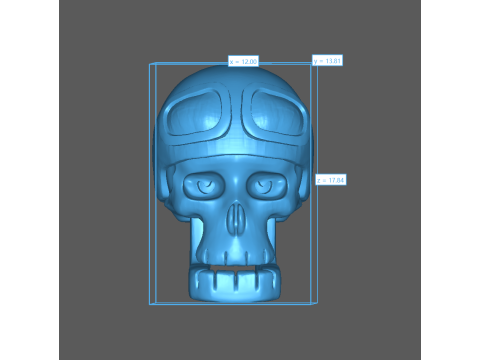 Skull 3D Print Model