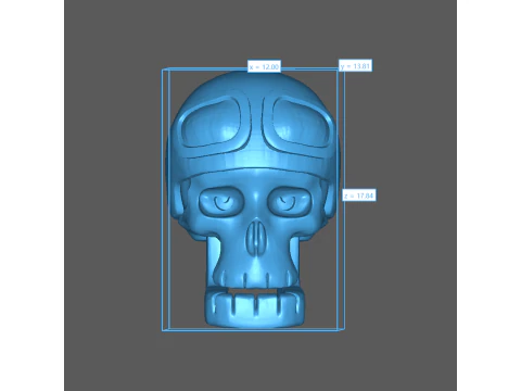 Cranio Modello di stampa 3D