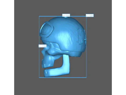 Skull 3D Print Model